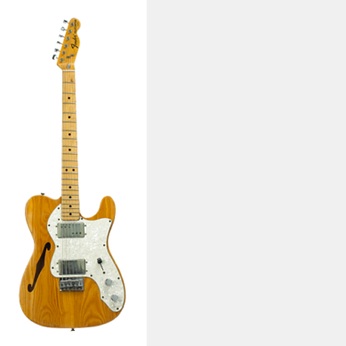 Fender Thinline Telecaster (1972) (G-42)